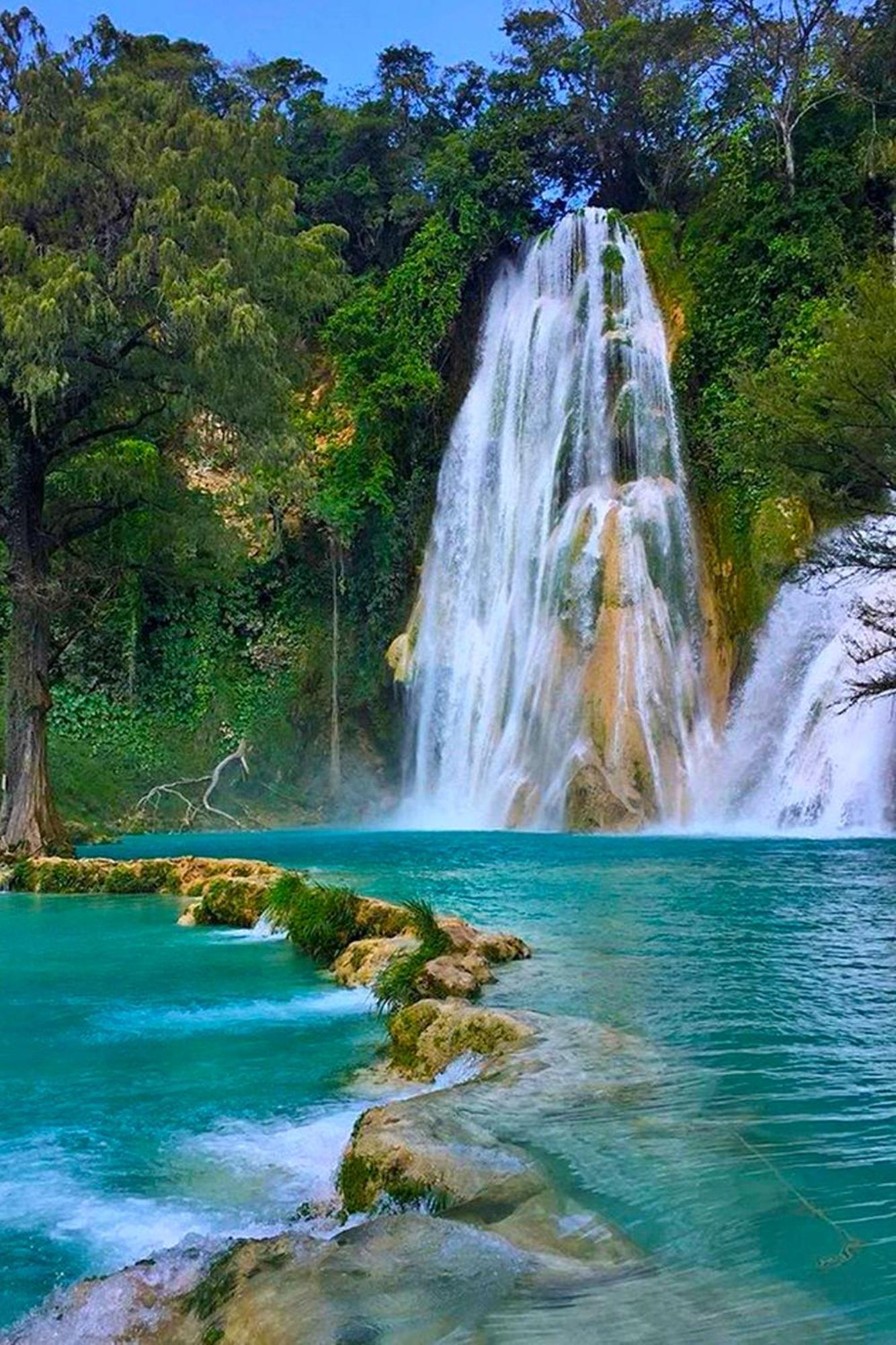 Hotel Del Valle El Naranjo  Dış mekan fotoğraf